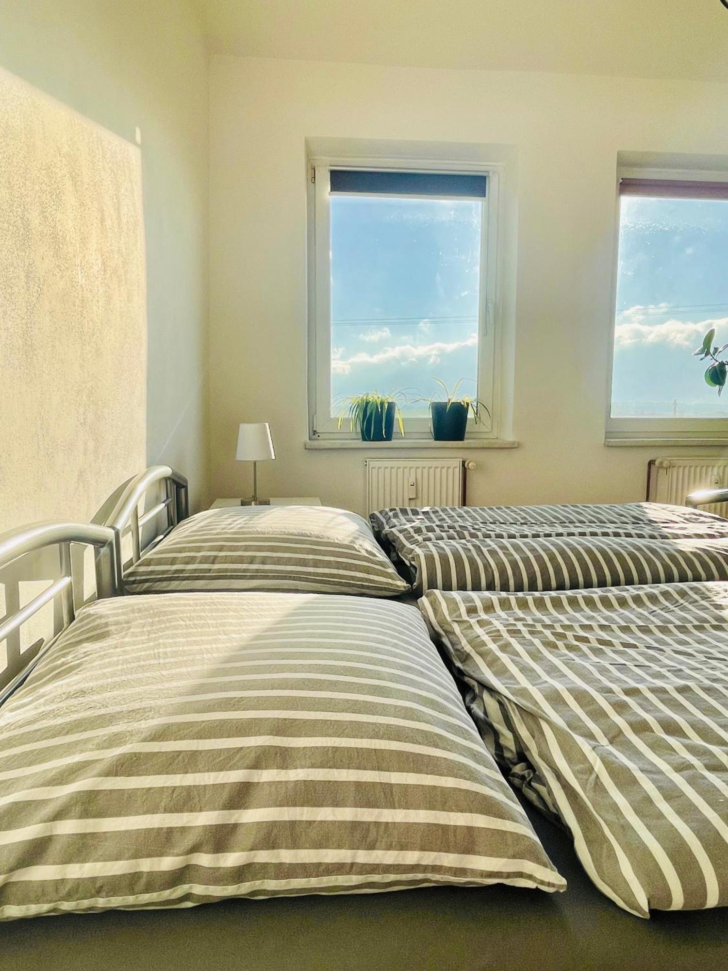 "Mts-Haus Zettemin" - 2 Familienfreundliche Ferienwohnungen In Mecklenburg Экстерьер фото